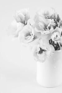 Konstfotografering Beauty Eustoma flowers in vase. Black, white_caty, (26.7 x 40 cm)