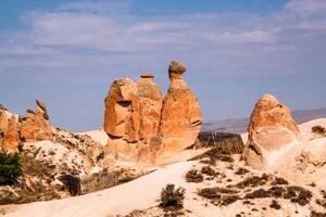 Konstfotografering Camel Rockin Devrent Valley at Cappadocia., Newlander90, (40 x 26.7 cm)