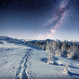 Fotografi starry sky in winter snowy night., standret, (40 x 40 cm)