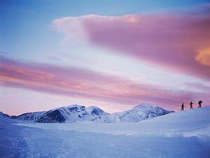 Konstfotografering Group Snowshoeing in Snow, David Trood, (40 x 30 cm)