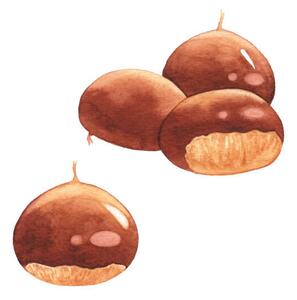 Konstfotografering Watercolor Chestnuts, saemilee, (40 x 40 cm)