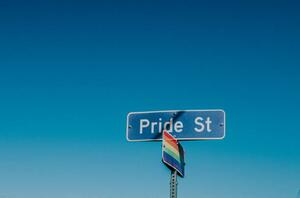 Fotografi American road sign displaying 'Pride Street', Catherine Falls Commercial, (40 x 26.7 cm)