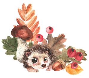 Fotografi Corner composition of hedgehog, mushrooms, falling, Tatyana Apt, (40 x 40 cm)