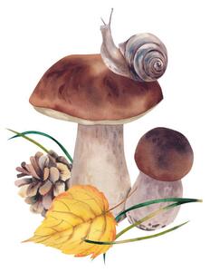 Konstfotografering Porcini mushrooms with autumn leaves, snail, Marina Skryzhova, (40 x 40 cm)