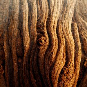 Konstfotografering Image Of Tree Bark Texture, Nenov, (40 x 40 cm)