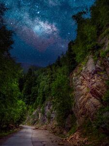 Konstfotografering Trees by road against sky at night,Romania, Daniel Ion / 500px, (30 x 40 cm)