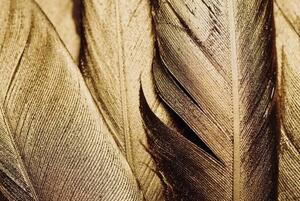 Illustration Close-up of Gold Leaf Feathers, Adrienne Bresnahan