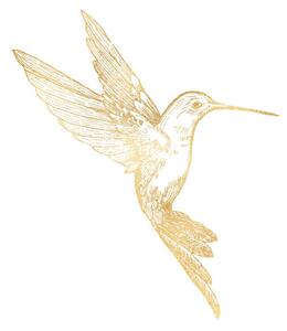 Illustration Gold Bee Hummingbird Isolated. Hand Painted, Gokcemim