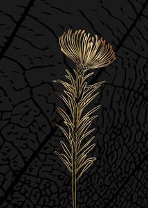 Illustration Minimalist botanical illustration. Golden outline of, Elena Makarova