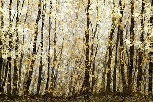 Illustration Forest filed with golden autumn leaves, Andrew Bret Wallis, (40 x 26.7 cm)