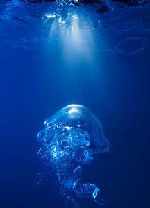 Fotografi Bubble on spot light in blue water, Biwa Studio