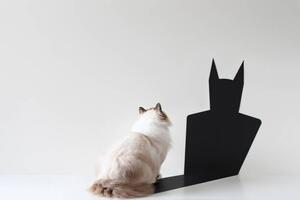 Illustration Conceptual ragdoll cat looking at bat shadow, pchyburrs