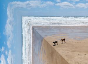 Illustration Perspective bending image of two dogs on a beach, ImagePatch