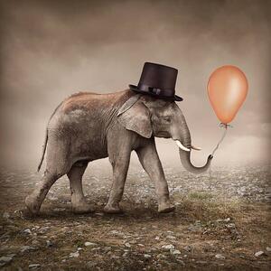 Illustration Elephant with a balloon, egal, (40 x 40 cm)