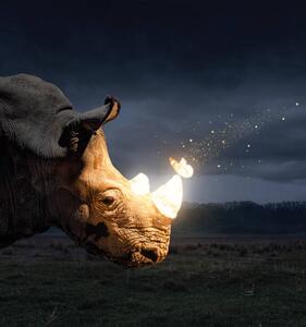 Illustration Magical butterfly sitting on the rhino, byheaven