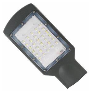 LED gatulampa LED/30W/230V IP65