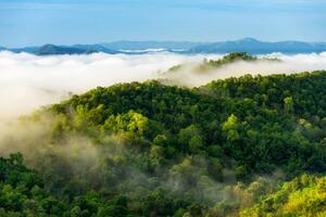 Fotografi Beautiful mist over green forest on mountain., NirutiStock