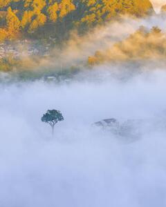 Konstfotografering lonely tree in the fog with, Khanh Bui, (30 x 40 cm)