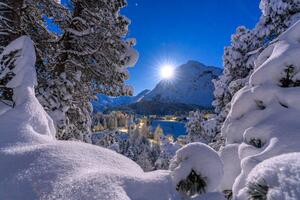 Fotografi Snowy forest lit by moon in winter, Switzerland, Roberto Moiola / Sysaworld, (40 x 26.7 cm)