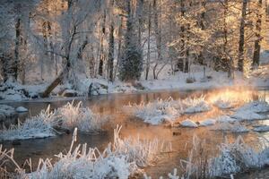 Fotografi Morning by a frozen river in winter, Schon