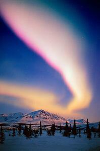 Konstfotografering USA, Alaska, Alaskan Range, Aurora Borealis, Johnny Johnson, (26.7 x 40 cm)