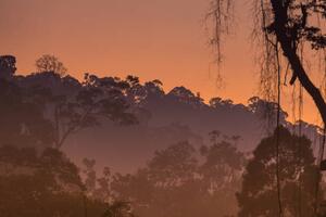 Konstfotografering Morning view of Endau Rompin National, shaifulzamri, (40 x 26.7 cm)
