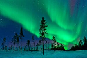 Fotografi Aurora Borealis Northern Lights Sweden, Dave Moorhouse, (40 x 26.7 cm)