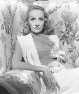 Konstfotografering Marlene Dietrich, (35 x 40 cm)