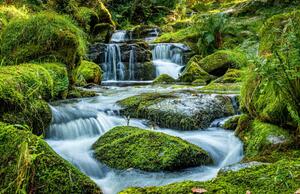 Fotografi Scenic view of waterfall in forest,Newton, Ian Douglas / 500px