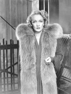 Fotografi Marlene Dietrich, (30 x 40 cm)