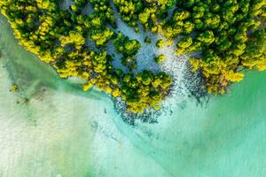Fotografi Overhead view of a tropical mangrove lagoon, Roberto Moiola / Sysaworld