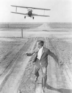 Konstfotografering Cary Grant, (30 x 40 cm)