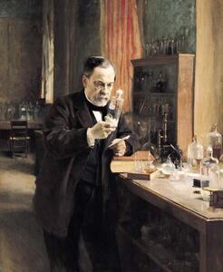 Fotografi Louis Pasteur in his Laboratory, 1885, Edelfelt, Albert Gustaf Aristides