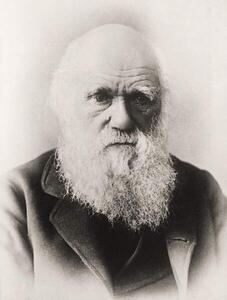Konstfotografering Charles Darwin, English School,, (30 x 40 cm)