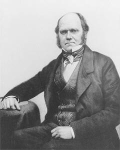 Konstfotografering Portrait of Charles Darwin, 1854, English Photographer,, (30 x 40 cm)