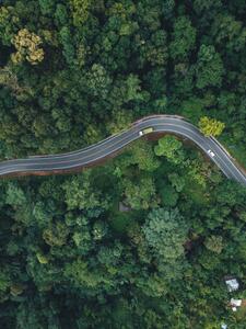 Fotografi Green road up the mountain in the rainy season, ArtRachen01, (30 x 40 cm)