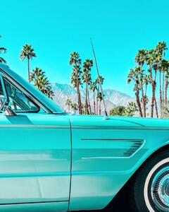 Konstfotografering Teal Thunderbird in Palm Springs, Tom Windeknecht, (30 x 40 cm)