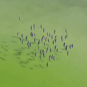 Fotografi Lake Eyre Aerial Image, Ignacio Palacios, (40 x 40 cm)