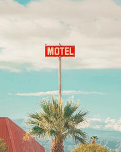 Konstfotografering This Motel is for the Birds, Tom Windeknecht, (30 x 40 cm)