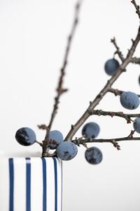 Konstfotografering Berries Blue, Studio Collection, (26.7 x 40 cm)