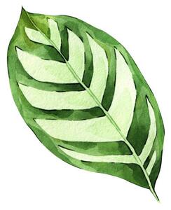 Illustration Watercolor hand painted green tropical leaves,, DZHAMILIA ABDULAEVA, (40 x 40 cm)