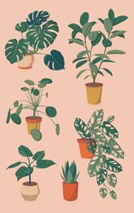 Illustration houseplants set, Alina Beketova
