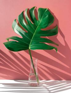 Illustration Monstera leaves in glass jug with, HAKINMHAN