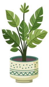 Illustration Monstera plant in a pot, Yuliia Sydorova