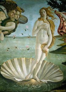 Botticelli, Sandro (Alessandro di Mariano di Vanni Filipepi) - Konsttryck Födelsen av Venus, (30 x 40 cm)
