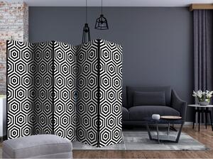 Rumsavdelare / Skärmvägg - Black and White Hypnosis II - 225x172