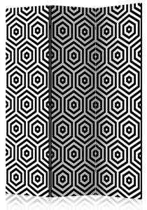Rumsavdelare / Skärmvägg - Black and White Hypnosis - 135x172