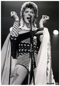 Poster, Affisch David Bowie - Ziggy Stardust 1973, (59.4 x 84.1 cm)
