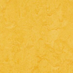 Linoleumgolv Forbo Marmoleum Click Lemon Zest 30x30 cm