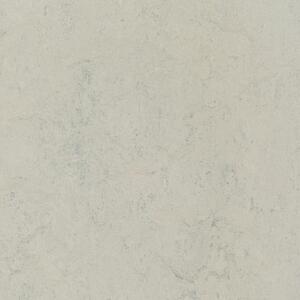 Linoleumgolv Forbo Marmoleum Click Silver Shadow 30x30 cm